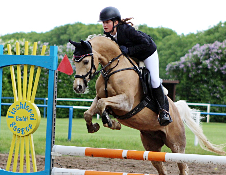 Die 11-jährige Charlotte Fehr vom RSV Polzow (hier mit Pony Clemens) hat mit der Ponystute Vanadis JR die A-Dressur A5 in Krackow gewonnen. © A.v.Hirschheydt
