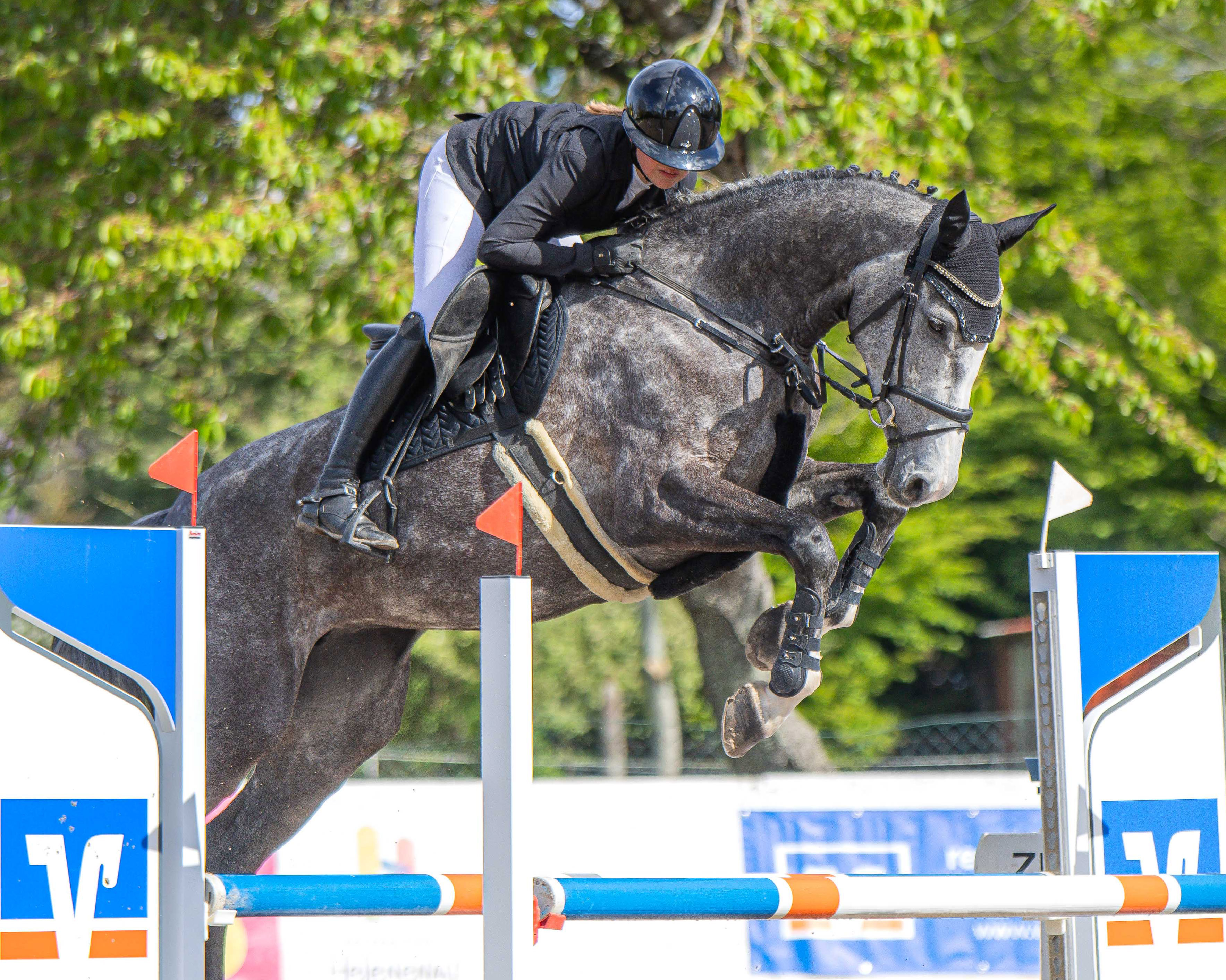 Die 14-jährige Nina Marike Puvogel trug mit Clarity im Stilspringen Klasse A zu einem weiteren Sieg für den Gastgeberverein bei. © S. Boge
