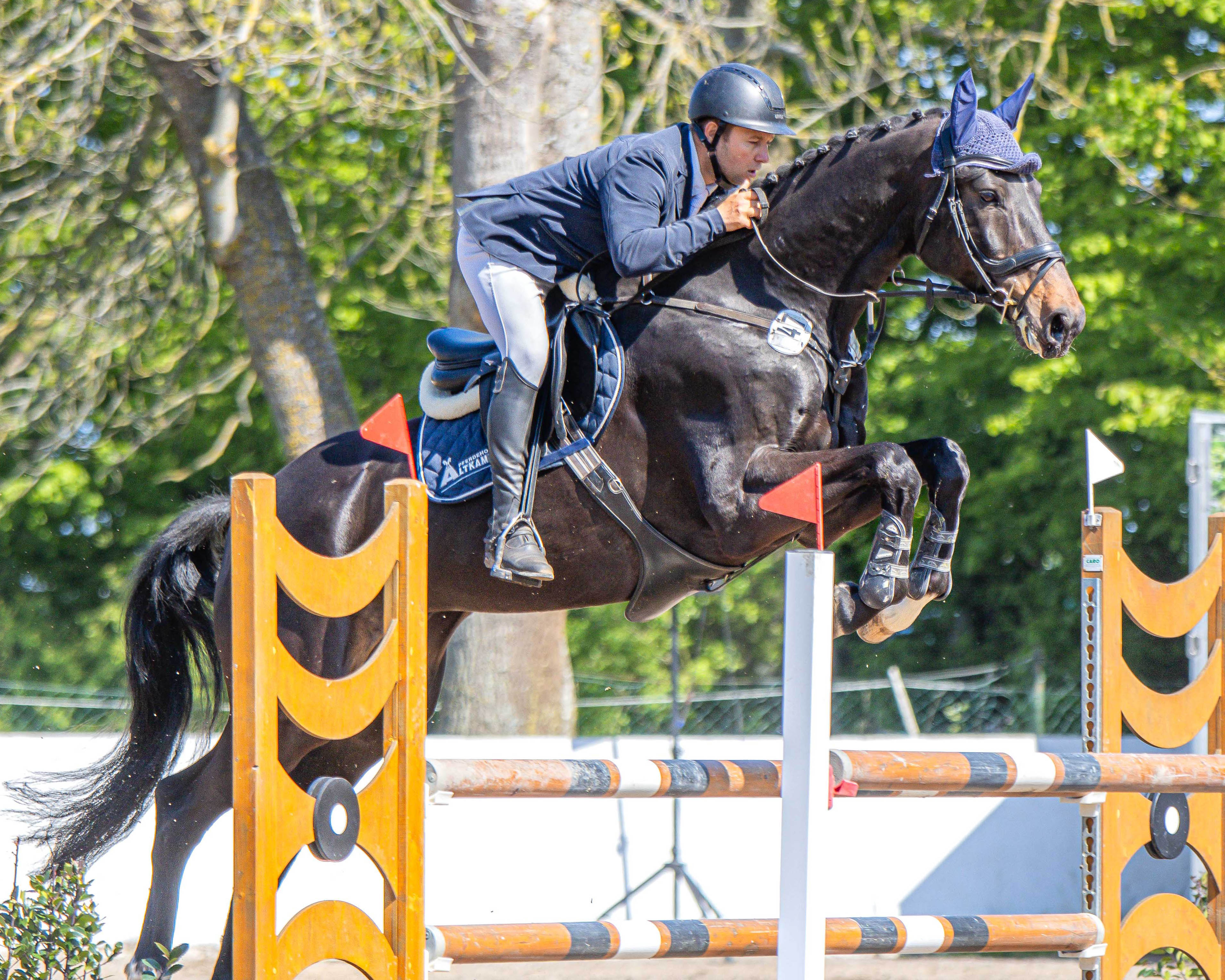 Das Zwei-Sterne M-Springen am Sonntag gewann Hannes Prehl aus Altkamp auf dem 8-jährigen Chester Blue. © S. Boge