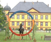 Landesmeisterschaften der „Buschreiter“ und Geländepferdechampionat in Hohen Luckow