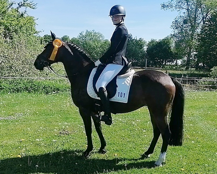 Zum Auftakt des Turniers gab es für Fiona Zimmer aus Dummerstorf auf dem Pony Luna einen Sieg in der Dressurreiterprüfung Klasse A. © Wego