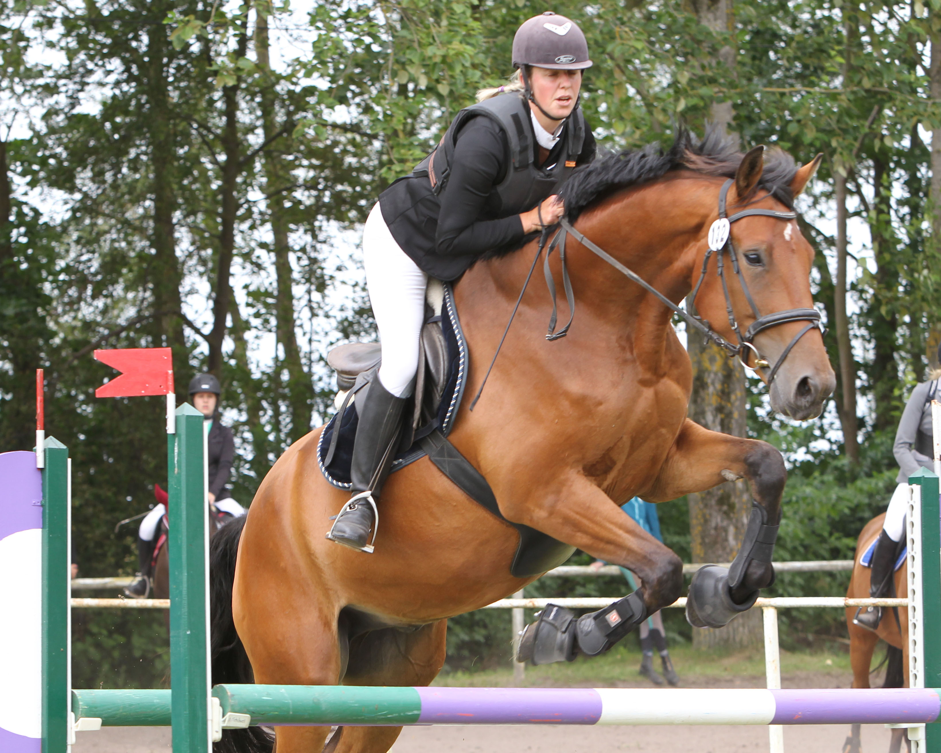Ein L-Springen, ebenfalls Wertung zum LVM-Cup. hat Kirsten Liermann (Woldegk) gewonnen (hier eine ältere Aufnahme mit Madero T). © Archiv Wego