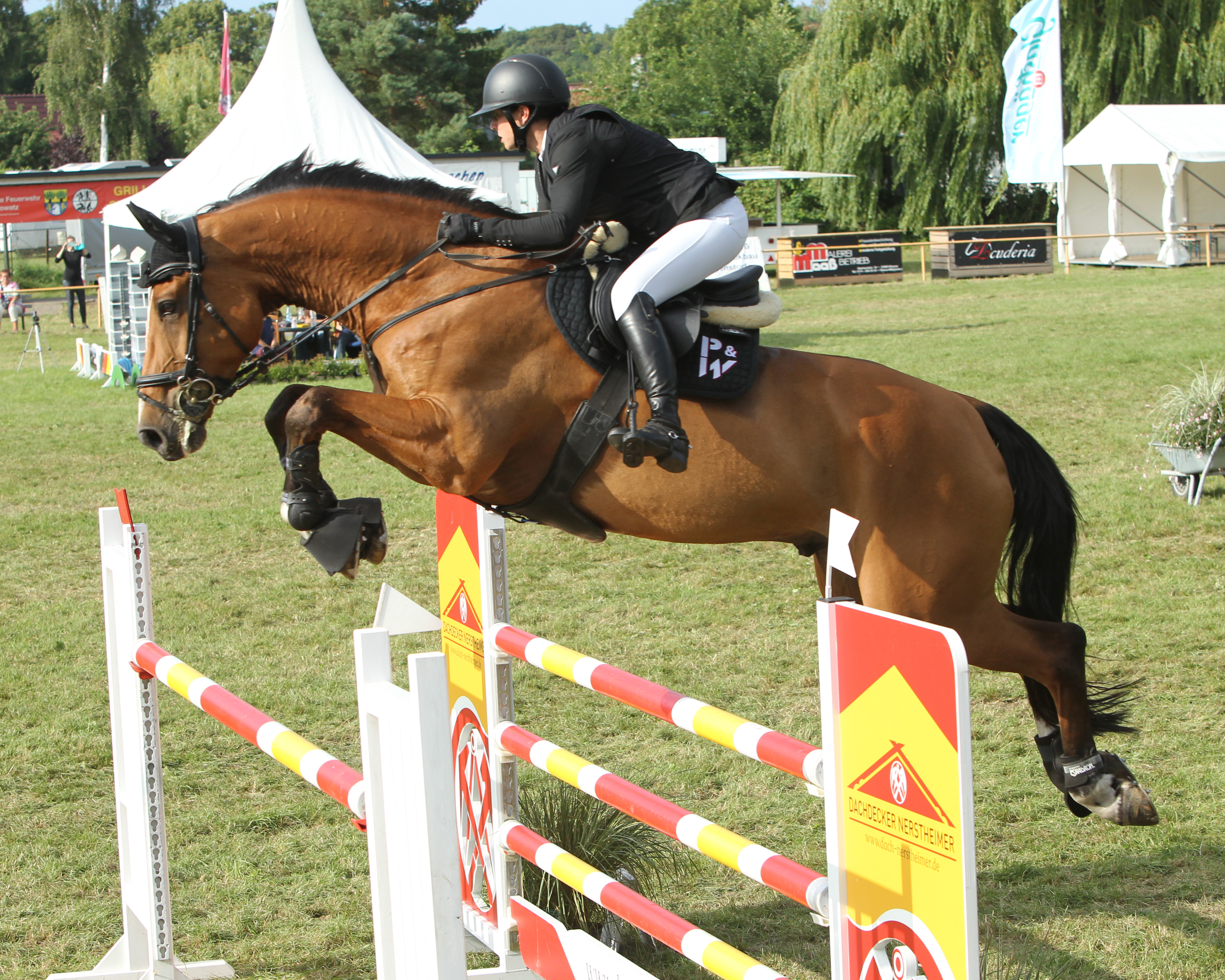 Havekost: Loreen Schreiter Achte im S-Springen