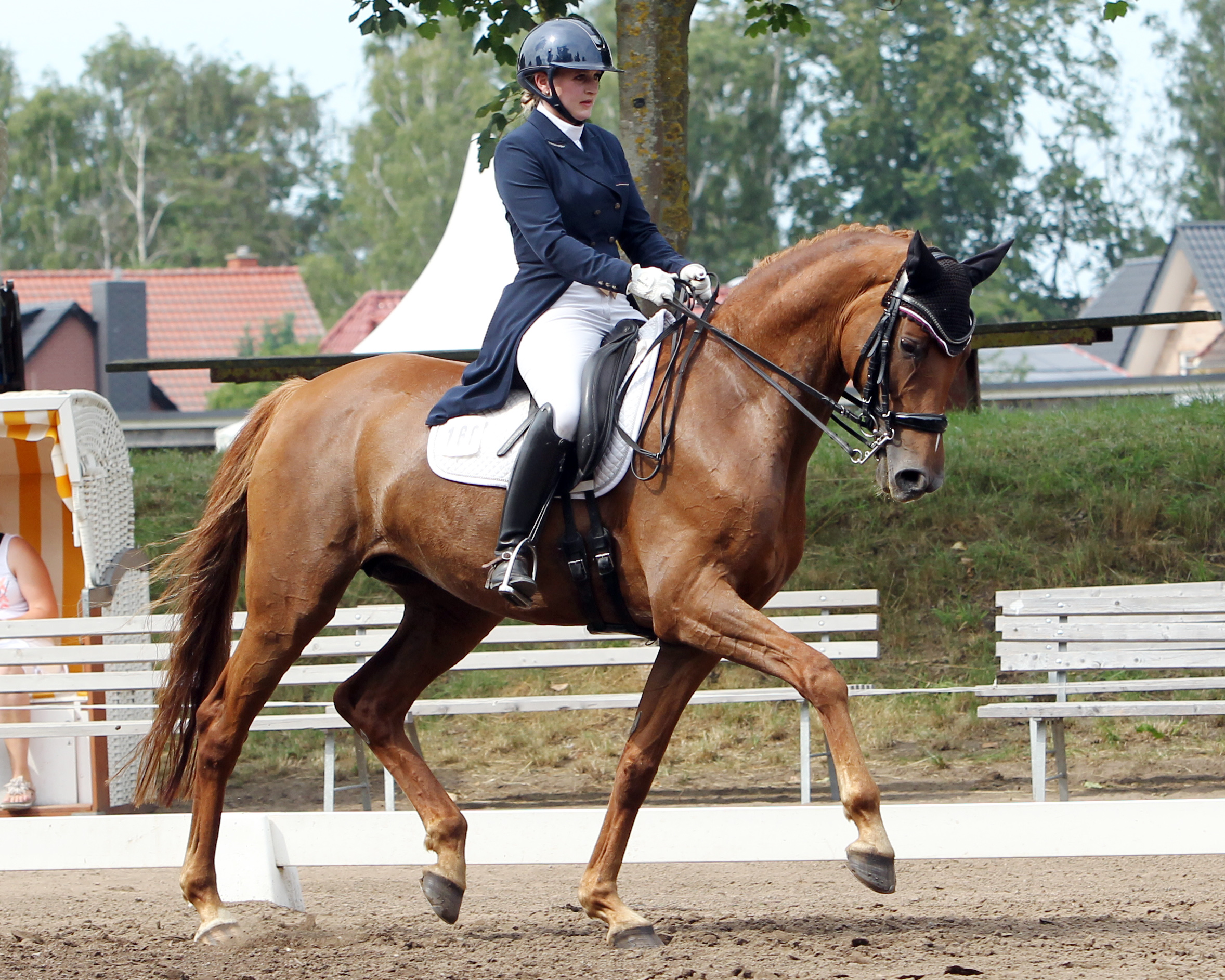 Mit Bambina Pirata SL ist Viktoria Appendina Zweite im Finale der Amateur-Tour beim Dressurturnier in Ruhlsdorf geworden. © Archiv Wego