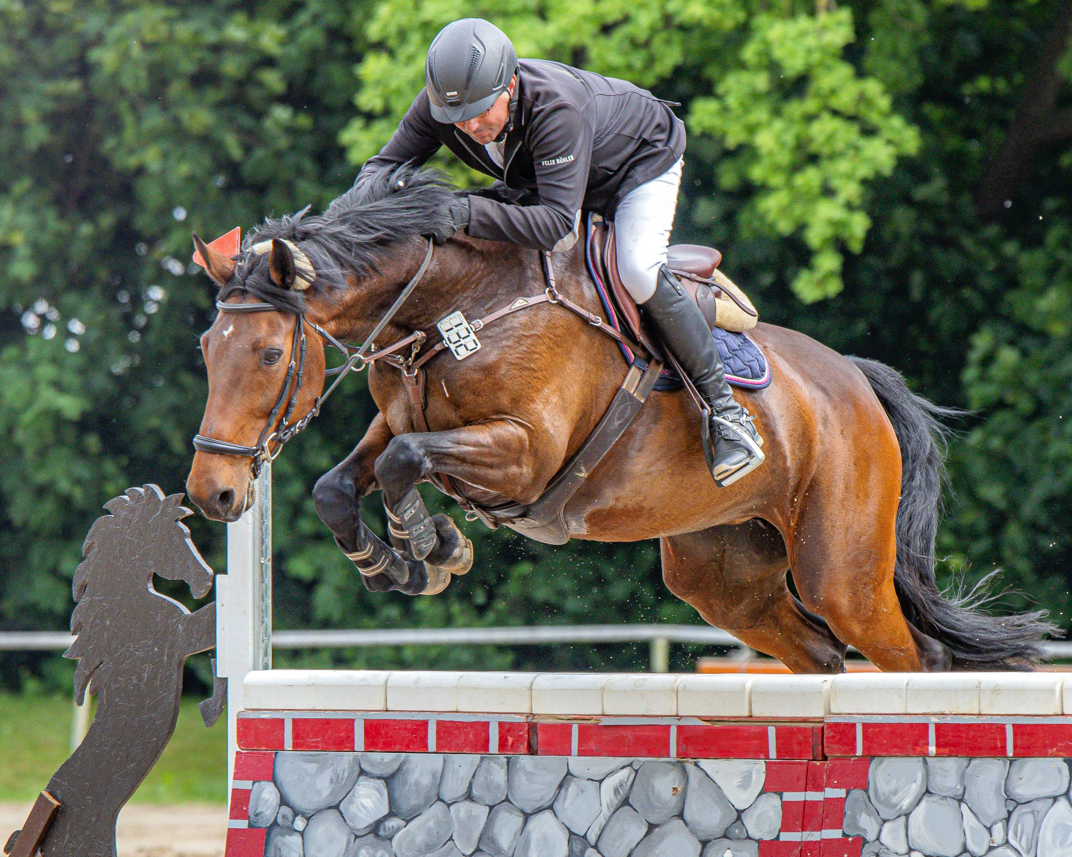 Zu zwei Siegen in den Klassen L und A kam Maik Tlattla aus Oberhof mit Queeny. © S. Boge