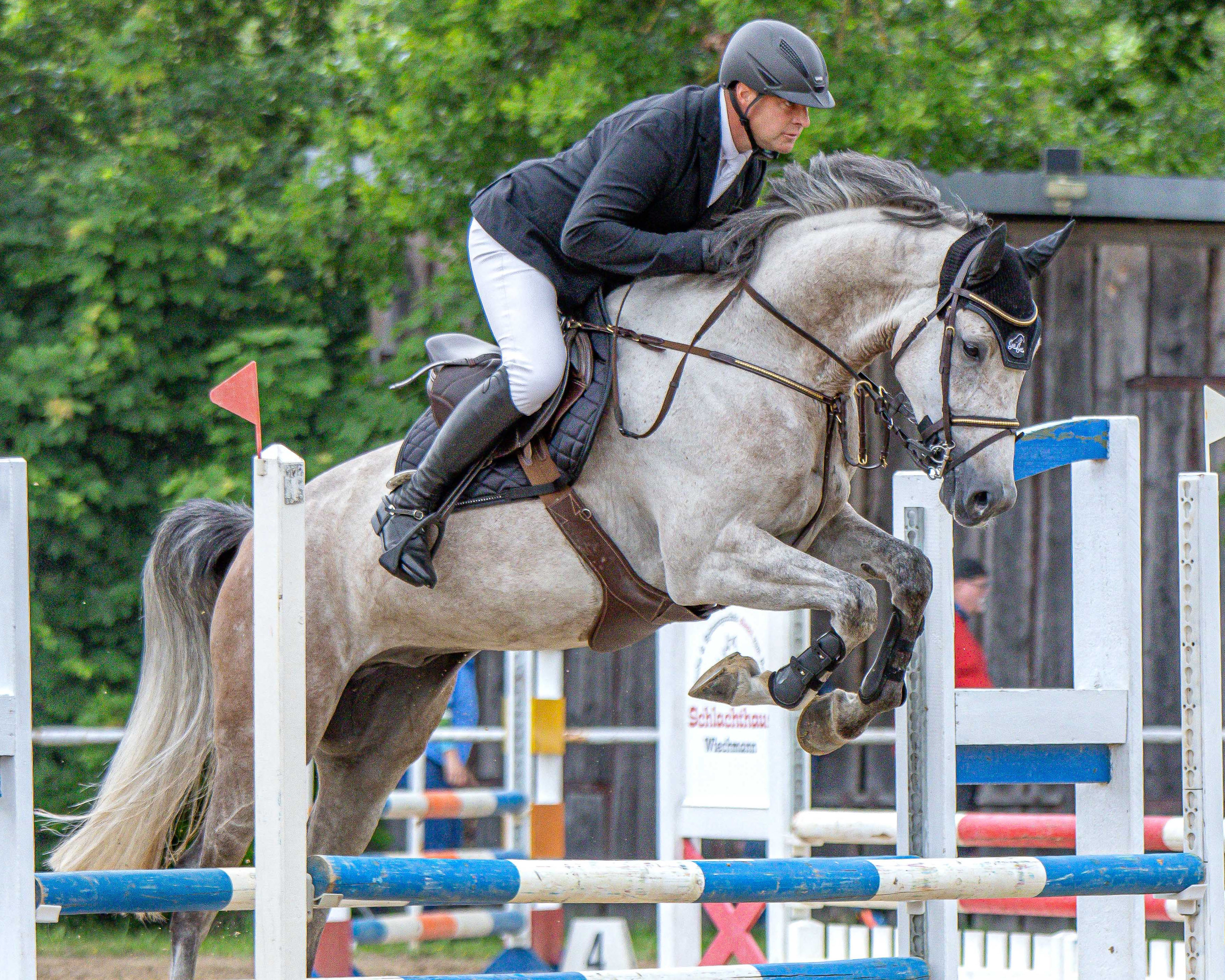 Beide Springpferdeprüfungen der Klasse A gewann Ronny Sauer aus Goldberg – die Zwei-Sterne-Prüfung mit dem 6-jährigen Schimmel Vitage. © S. Boge