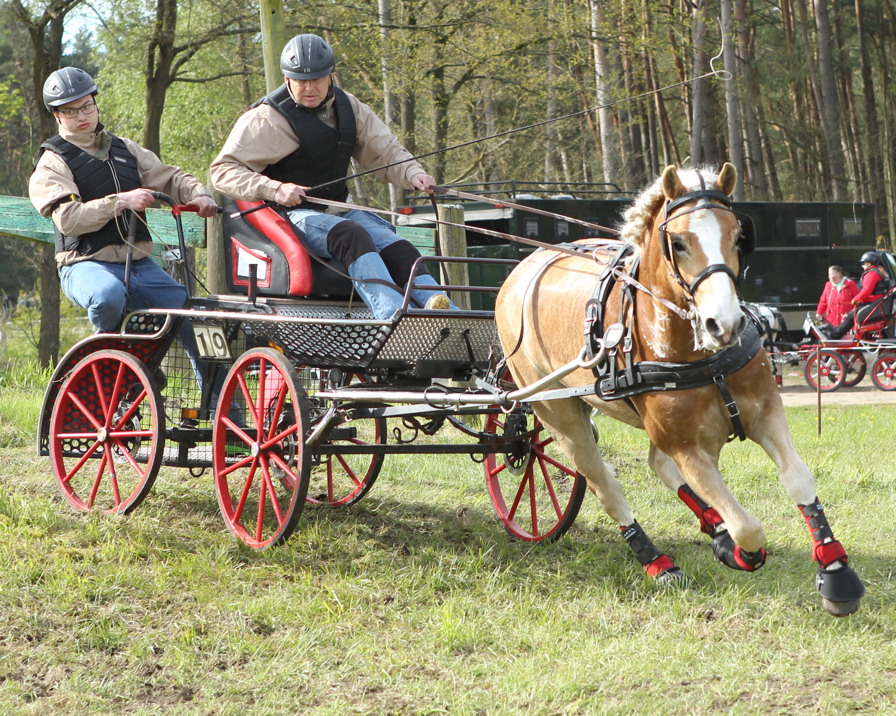 Daniel Fritz wurde mit dem Haflinger Worldman Silbermedaillengewinner und fuhr in der M-Kombi auf den 2. Platz. © Archiv Wego