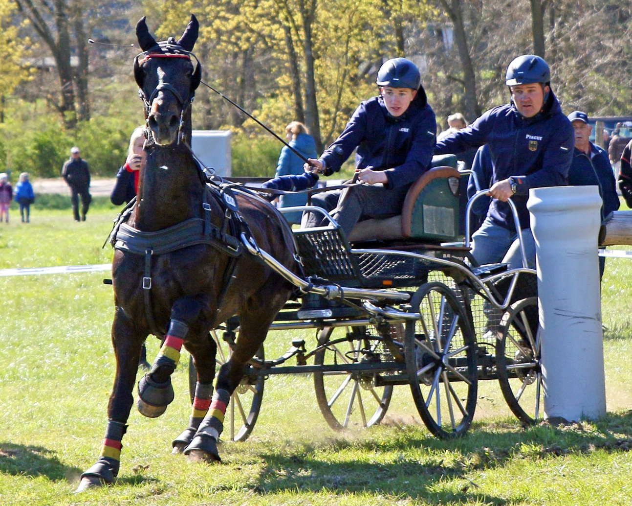 Marvin Schildt mit Edje - hier bei seinem Sieg in der Geländefahrt von Blievenstorf Ende April - gewann Dressur und Kegelfahren in der Meisterschaft und konnte die Geländefahrt durch eine Tragik nicht beenden. © KaLo