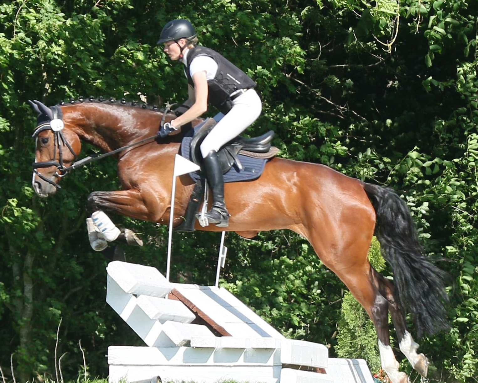 Tasdorf: Paula Fatteicher mit Sieg und 2. Platz in Geländepferdeprüfungen