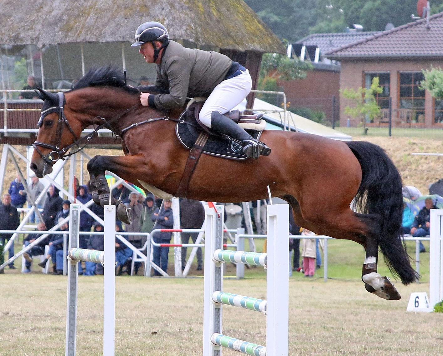 Das Zwei-Sterne M-Springen vor dem Großen Preis gewann Christoph Maack (Kirch-Mummendorf) mit Millon’s Lola US. © KaLo