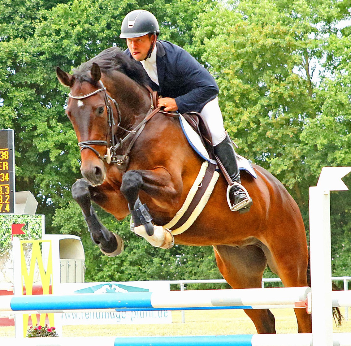 Dreifacher Sieger in den Springpferdeprüfungen wurde Richard Robinson (Steffenshagen). Mit Casino FW (Foto) gewann er die L und M-Prüfung. © KaLo