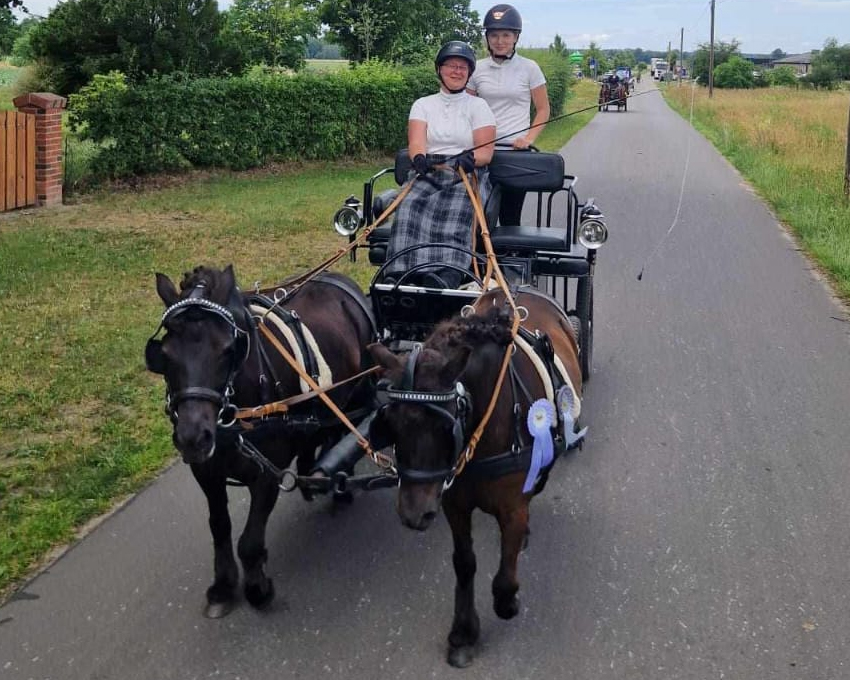 Dallmin: Zwei Siege für Ponyfahrerin Franziska Jens