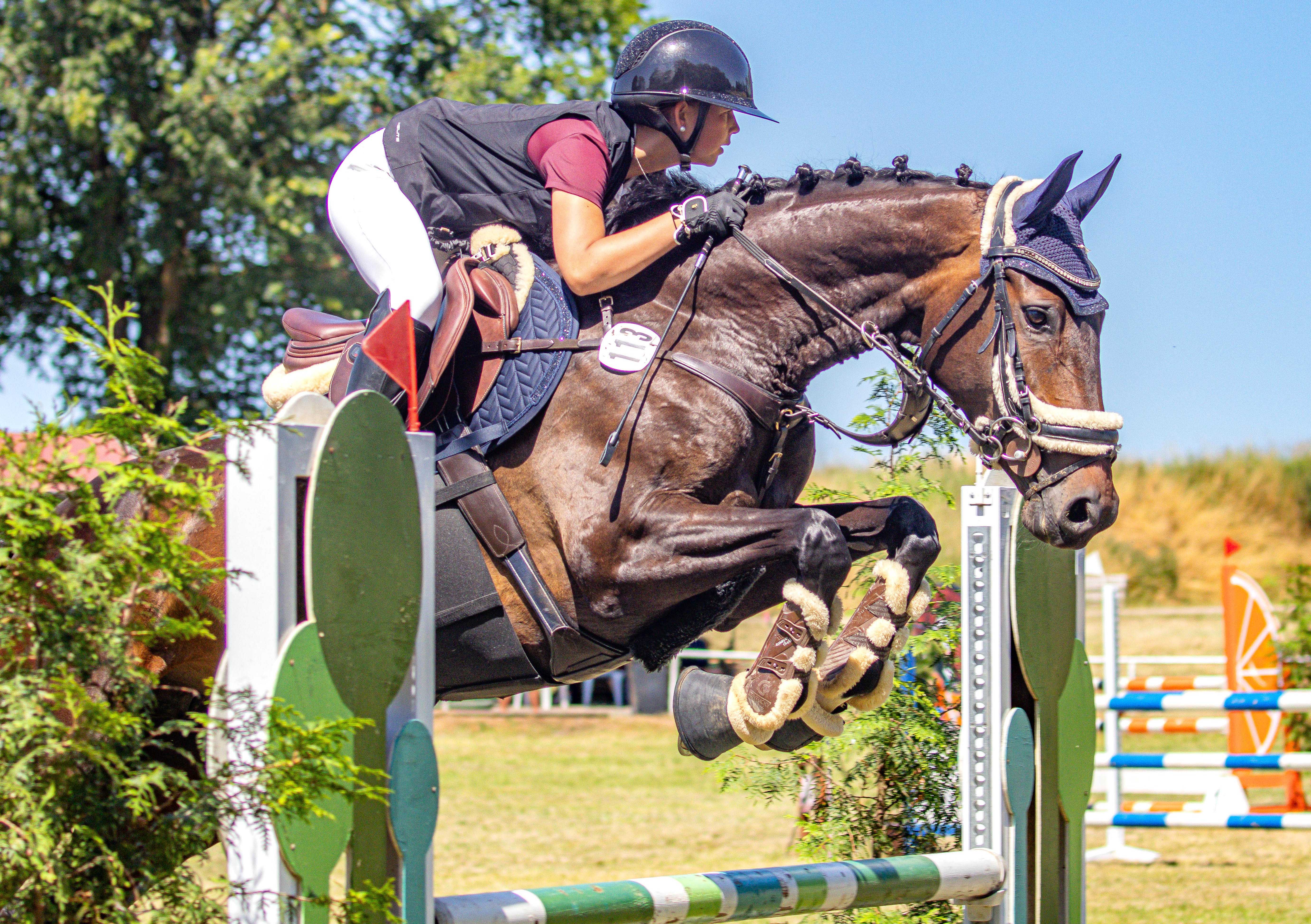 Die 14-jährige Fiby Sosna vom PSC Tenze gewann mit Currenty (Foto) beide Springpferdeprüfungen Kl. L und wurde im Großen Preis mit D’Amour du Foret Z Zweite. © Sophia Bode