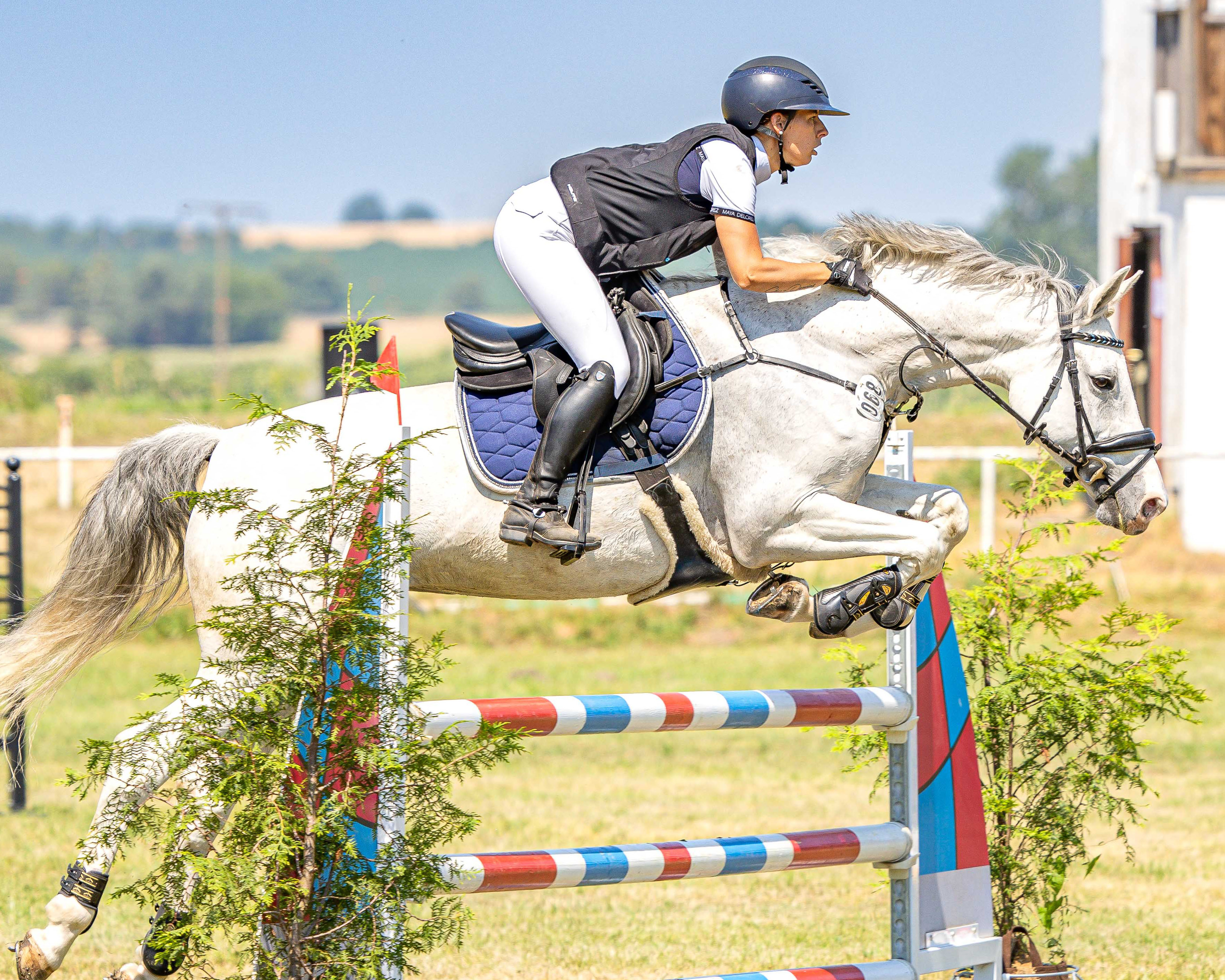 Einen Gastgebersieg mit Cher (Foto) gab es für Anna-Lena Finck in der Einzelwertung zum SIRIUS-Cup und in einer Springpferdeprüfung mit Chilli Choc. © Sophia Boge