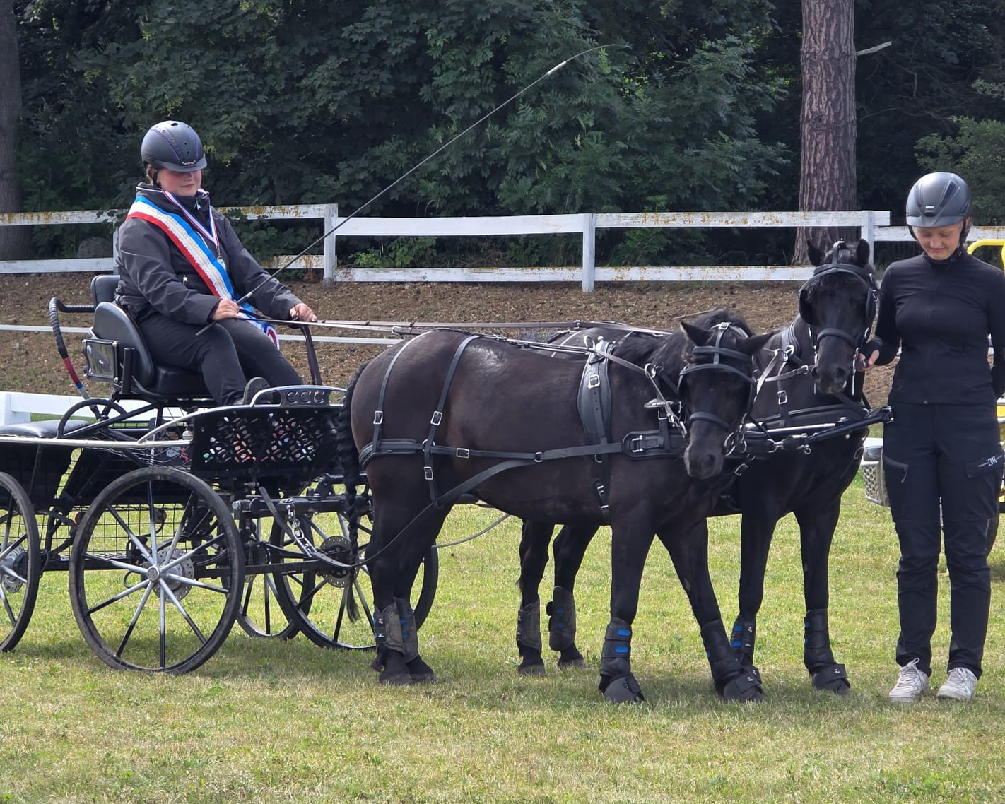 Bei den Pony-Zweispännern holte sich die 14-jährige Anny Schmidt vom ZRFV Wusterhusen mit den Ponys Alf und Joker den Titel des Landesmeisters. © Anne Hoddow