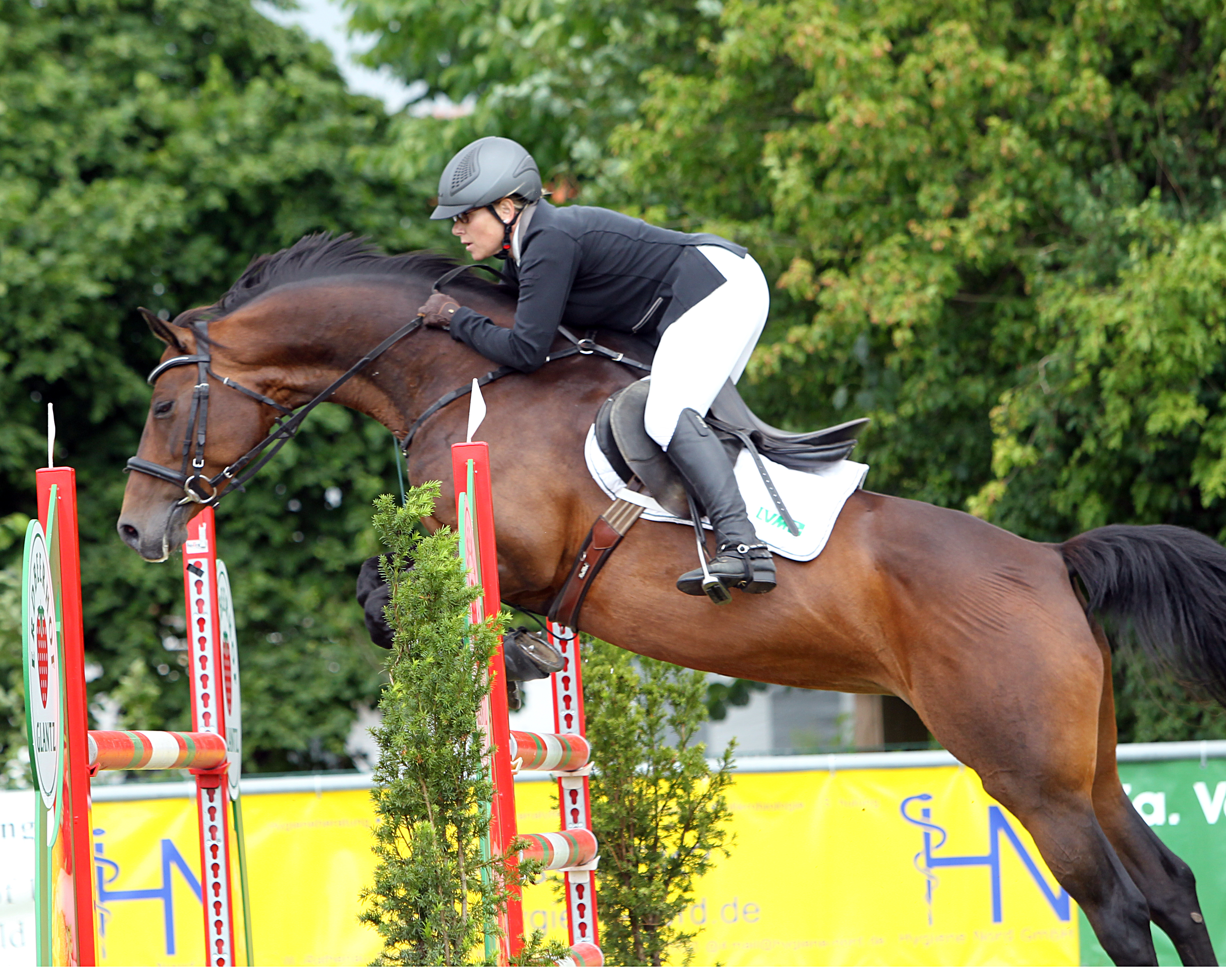 Antje Füsting hatte mit der 15-jährigen Stute Levke 2014 das Hauptspringen der Klasse L in Miltzow gewonnen und holte sich diesen Sieg in diesem Jahr zurück. © Archiv Wego