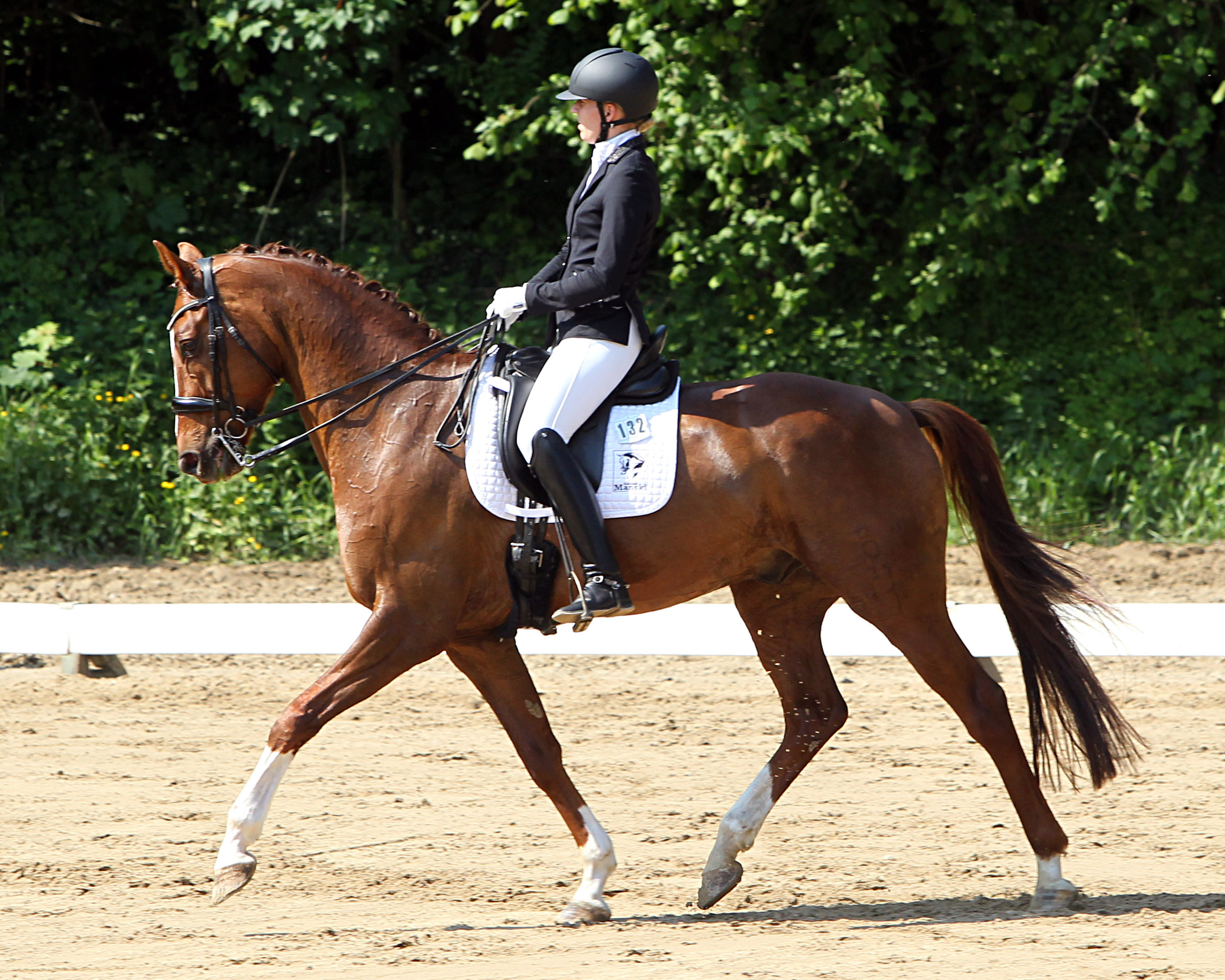 Die M-Dressur konnte Kati Spierling in Wittenbeck mit Freshman gewinnen. © Archiv Wego