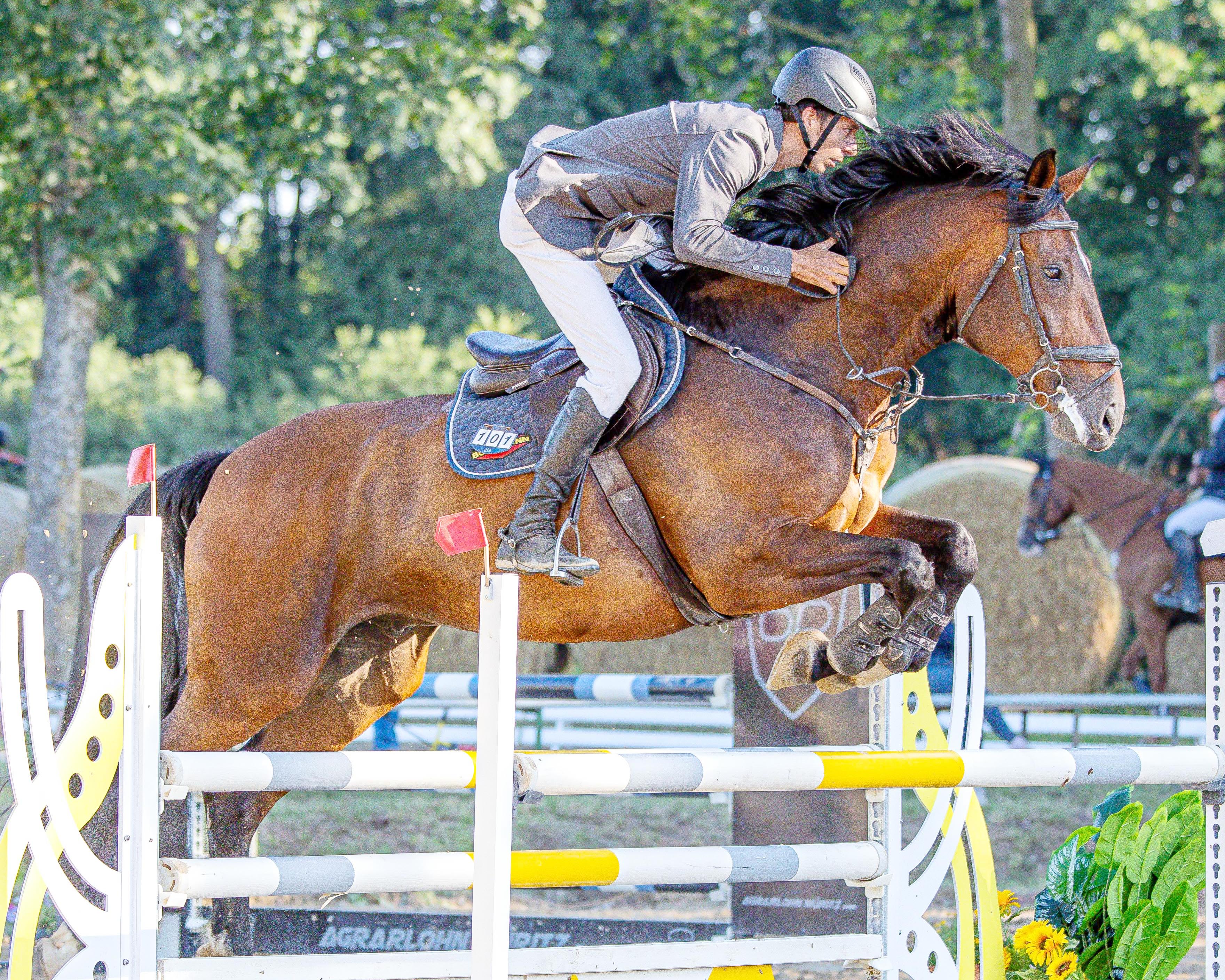 Das Championat am Samstag, ein M1*-Springen, hat Lukas Burmeister mit Dyros gewonnen. © S. Boge