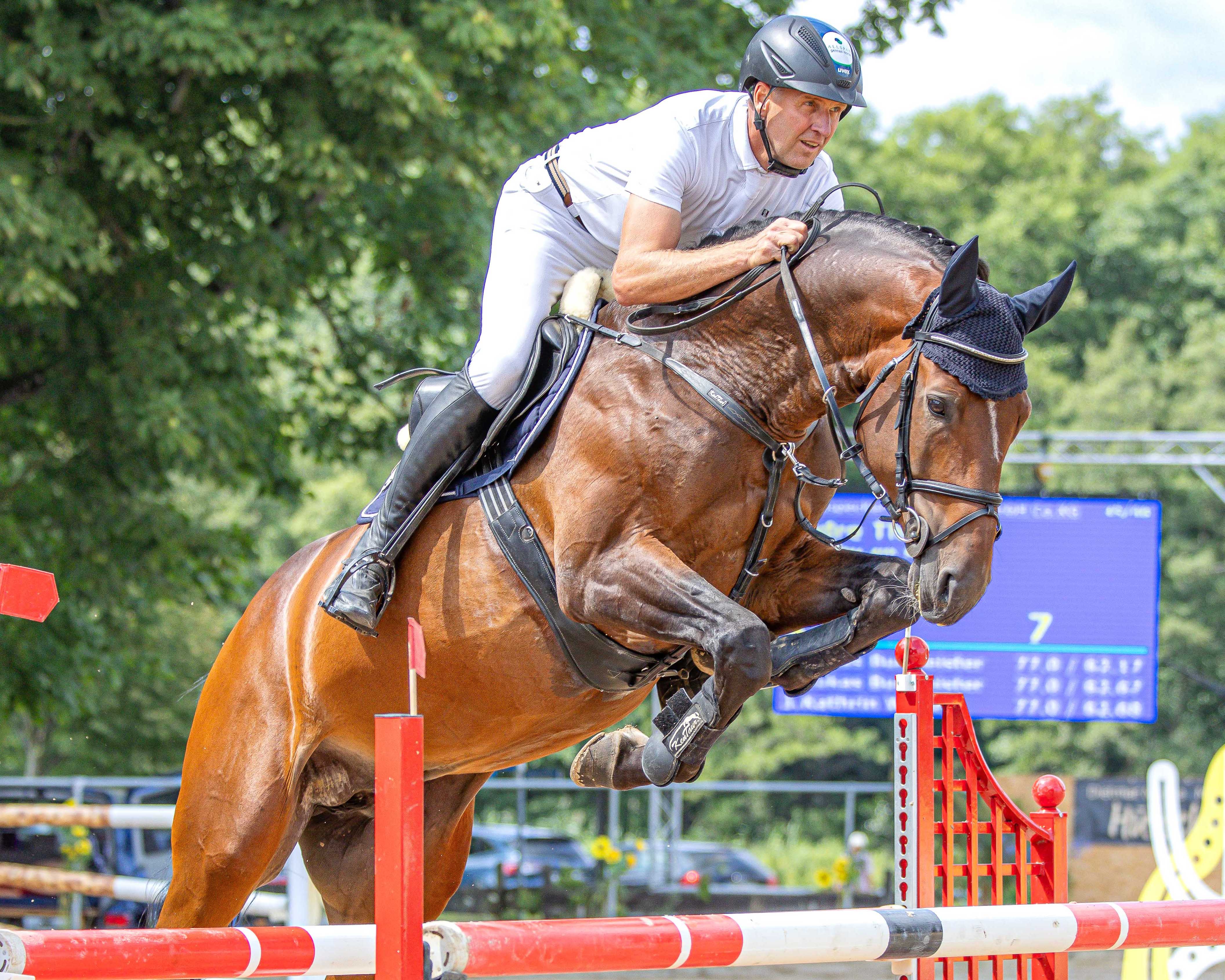 Andre Thieme gehörte im Punktespringen Klasse M1* mit Kamino Real zu den Siegern. © S. Boge