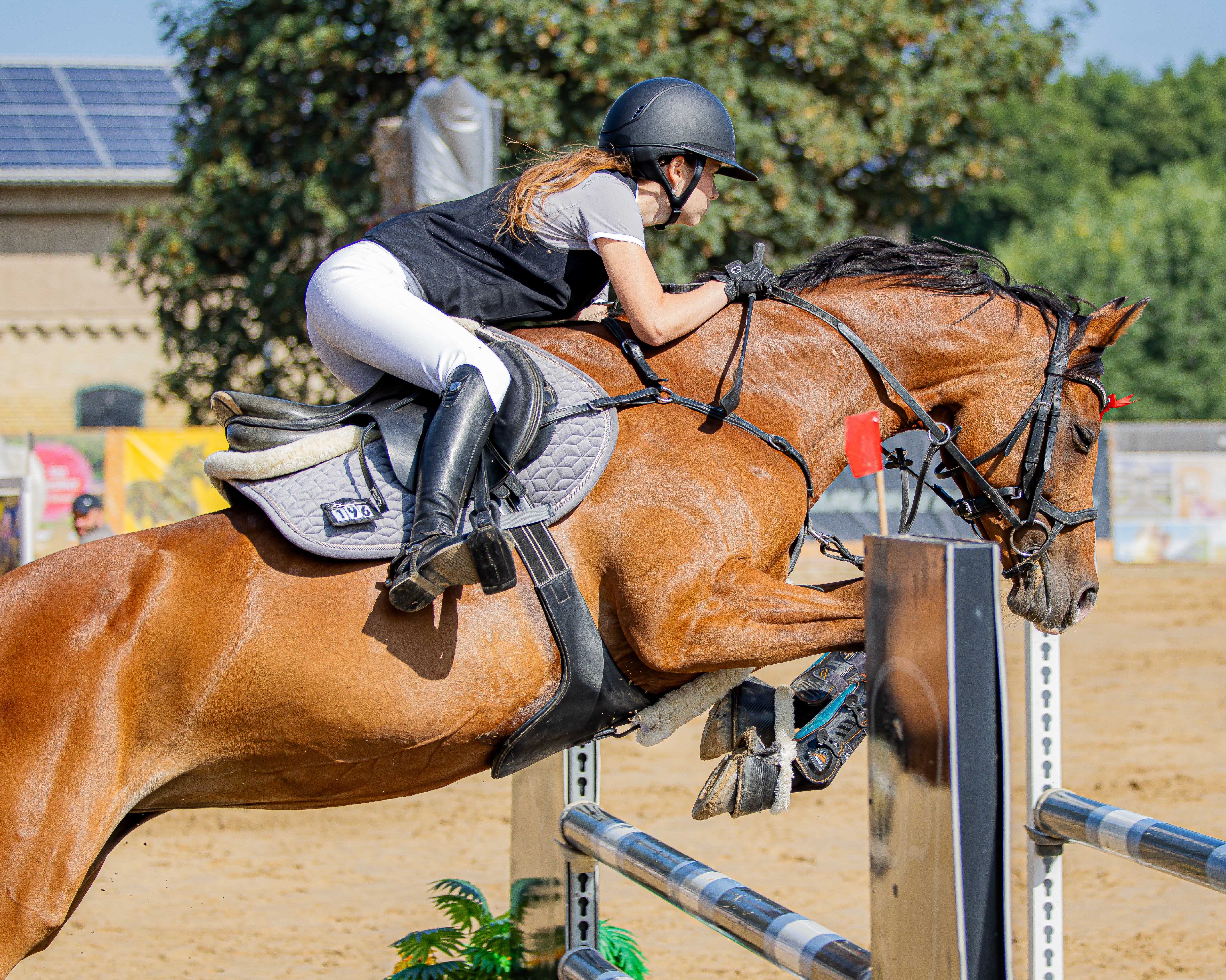 Eine Abteilung der L-Springen für den Müritz-Pokal hat Chiara Chantal Schmidt auf Daiquiri B für den Gastgeber Cramon gewannen. © S. Boge