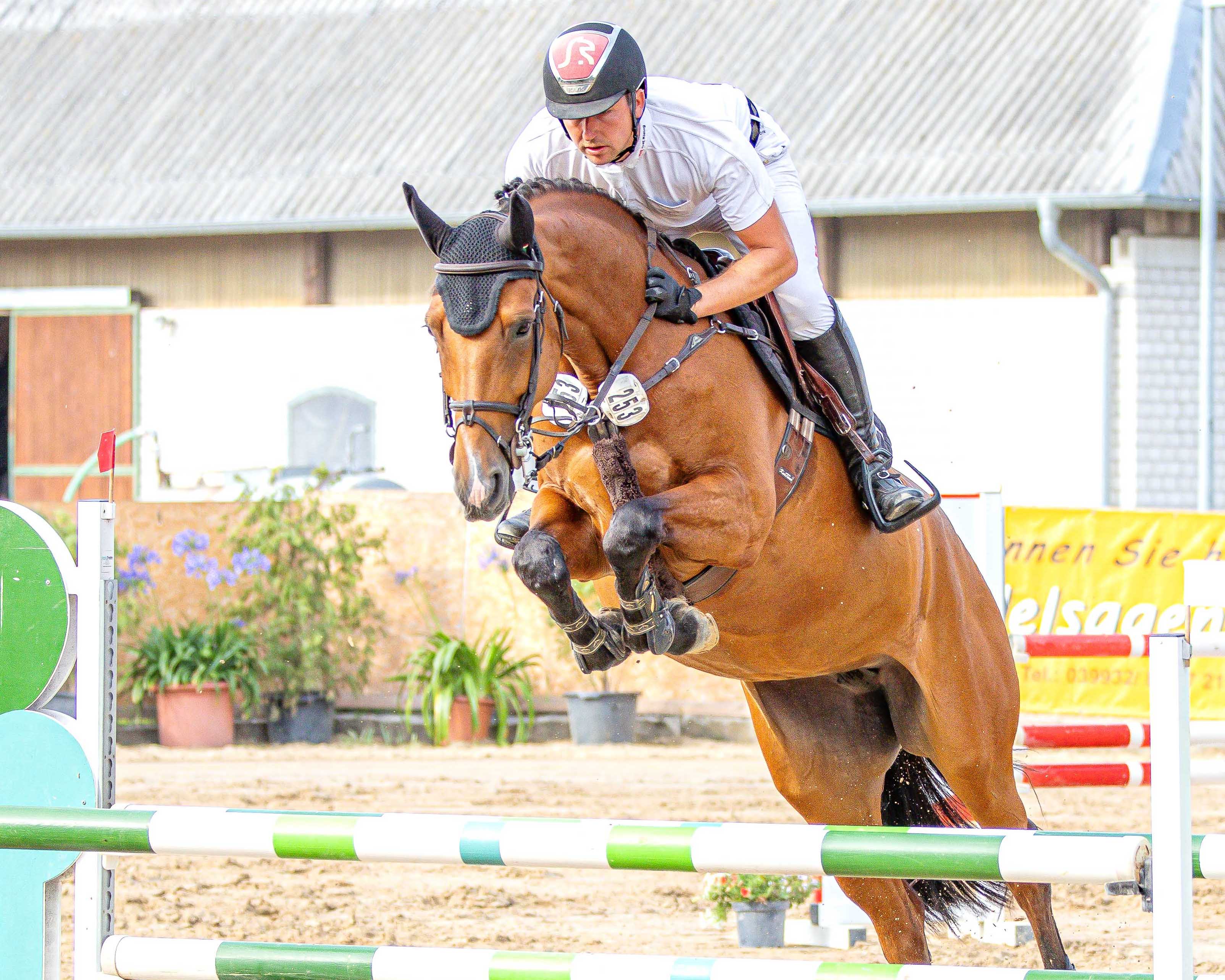 Paul Wiktor (Trent) gewann die Springpferdeprüfung Klasse L mit der 6-jährigen Haily und wurde im Youngster-Springen Klasse M Zweiter. © S. Boge