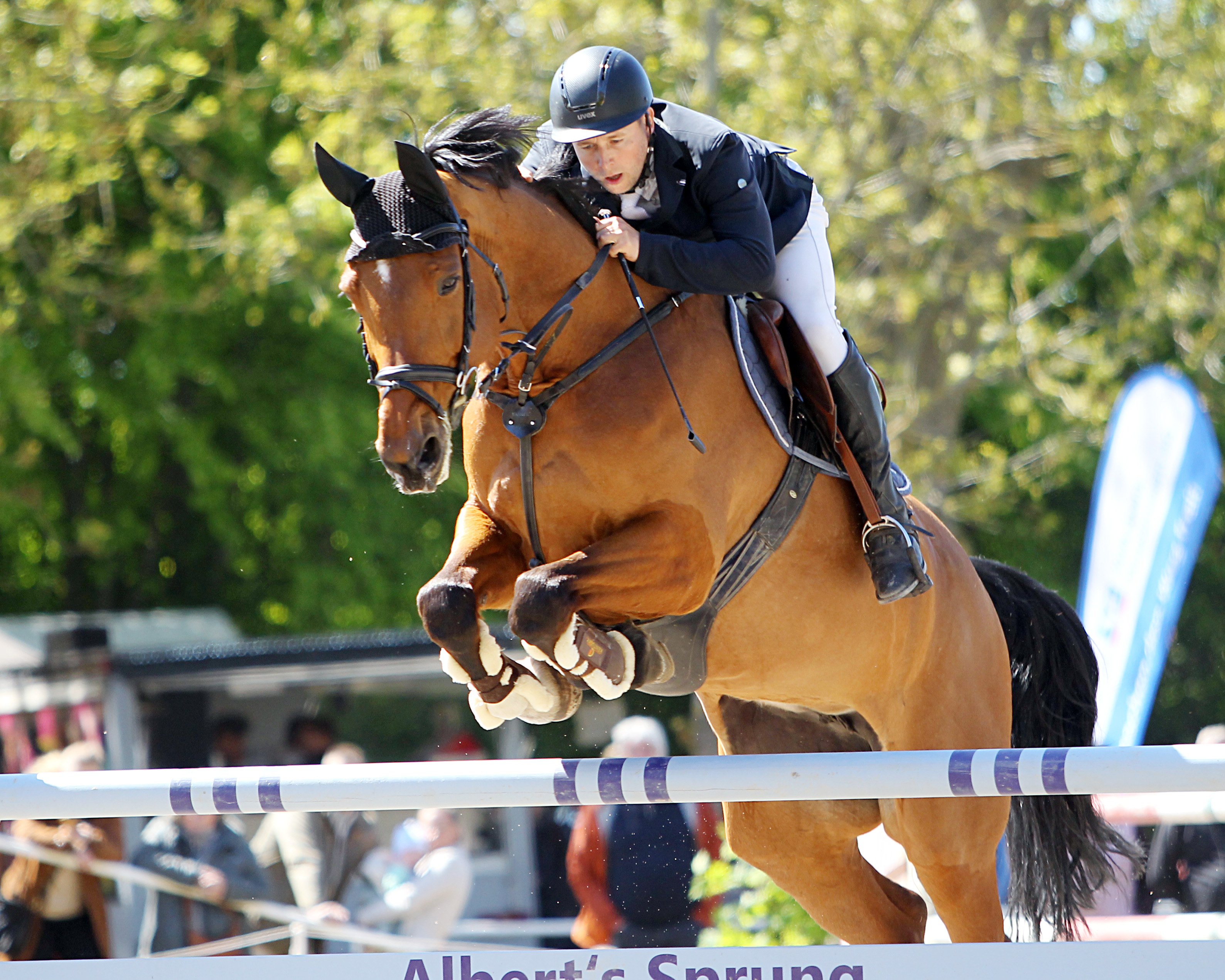 Das Championat von Woldegker Mühlen-Jumping hat Hannes Prehl mit der 9-jährigen Mecklenburger Stute Cara Calea H (v. Casino Grande) gewonnen die Michaela & Axel Horn gezogen haben. © Archiv Wego