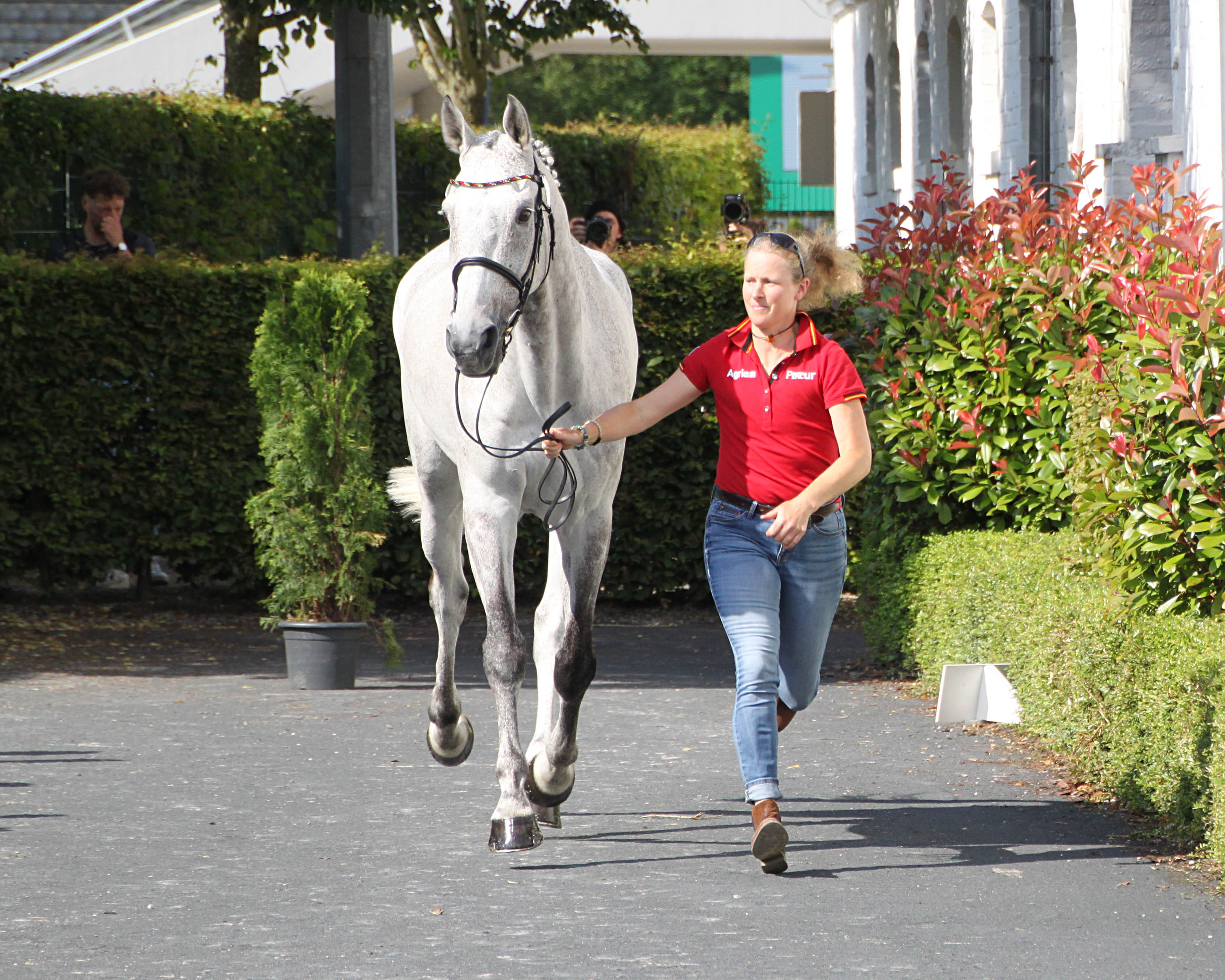 Malin Hansen-Hotopp übte schon mal im Stallbereich mit Carlitos Quidditsch K das Traben für die Horse Inspektion. © H.-J.B.