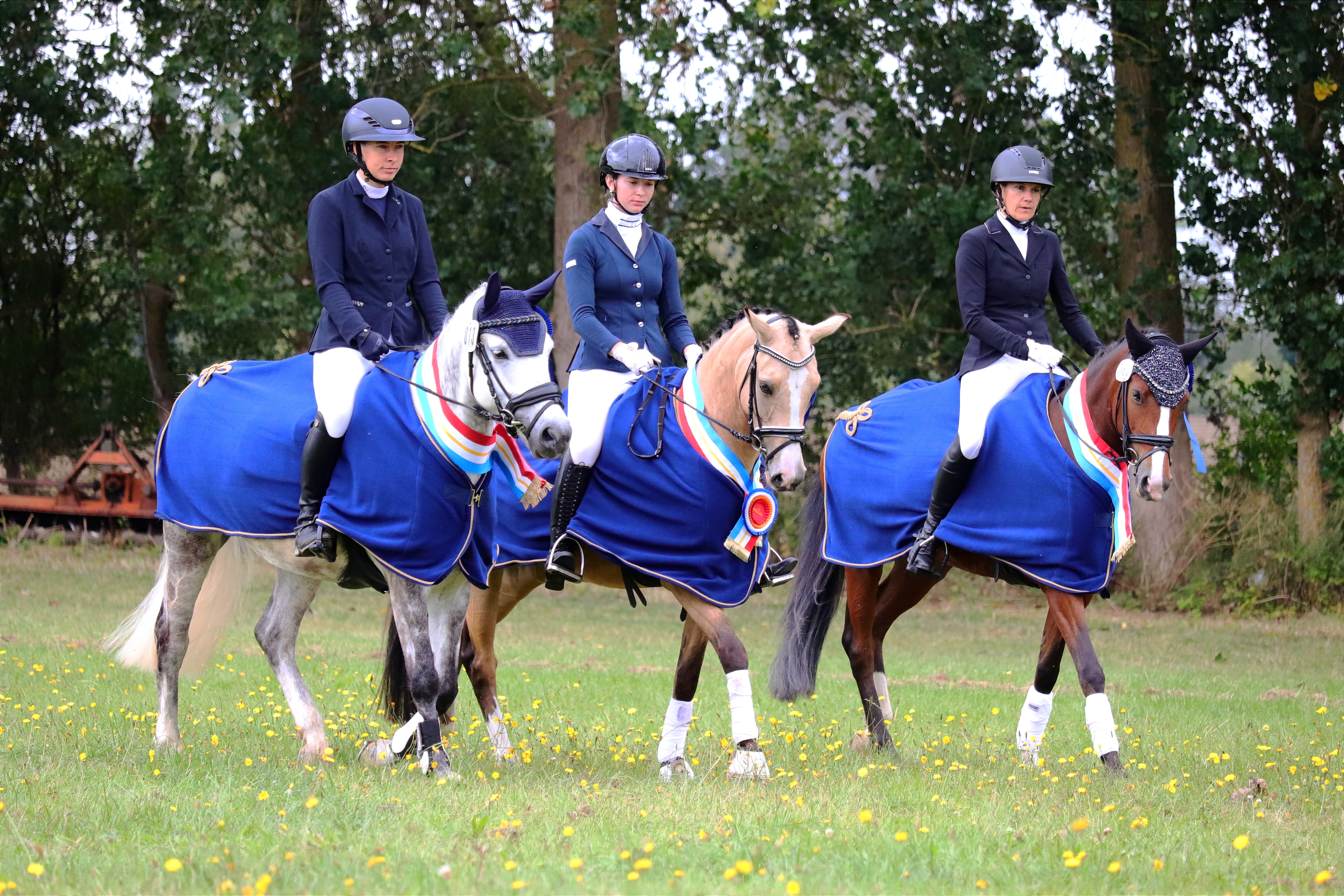Die neuen Landeschampion der Mecklenburger Reitponys: v.l. Springponys CHARLOTTE M mit Anna-Lena Finck, Reitpony GOLDMARIECHEN CR mit Carolina Romanowski, Dressurpony MARRY POPINS W mit Manuela Granzow-Finck. © Selina Adoms