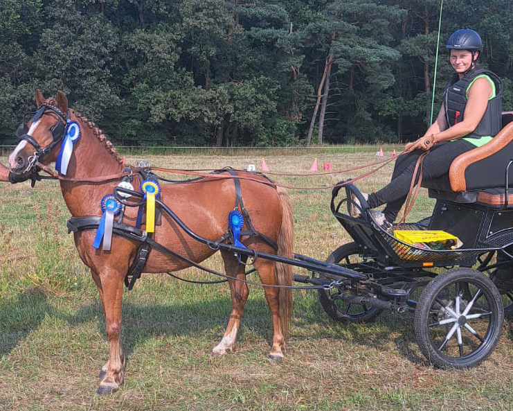 Mit Siegen in allen drei Teilprüfungen sicherte sich Christin Gerstenberger von der Sana-Sportgemeinschaft Rügen auch die A-Kombi der Einspänner. © privat