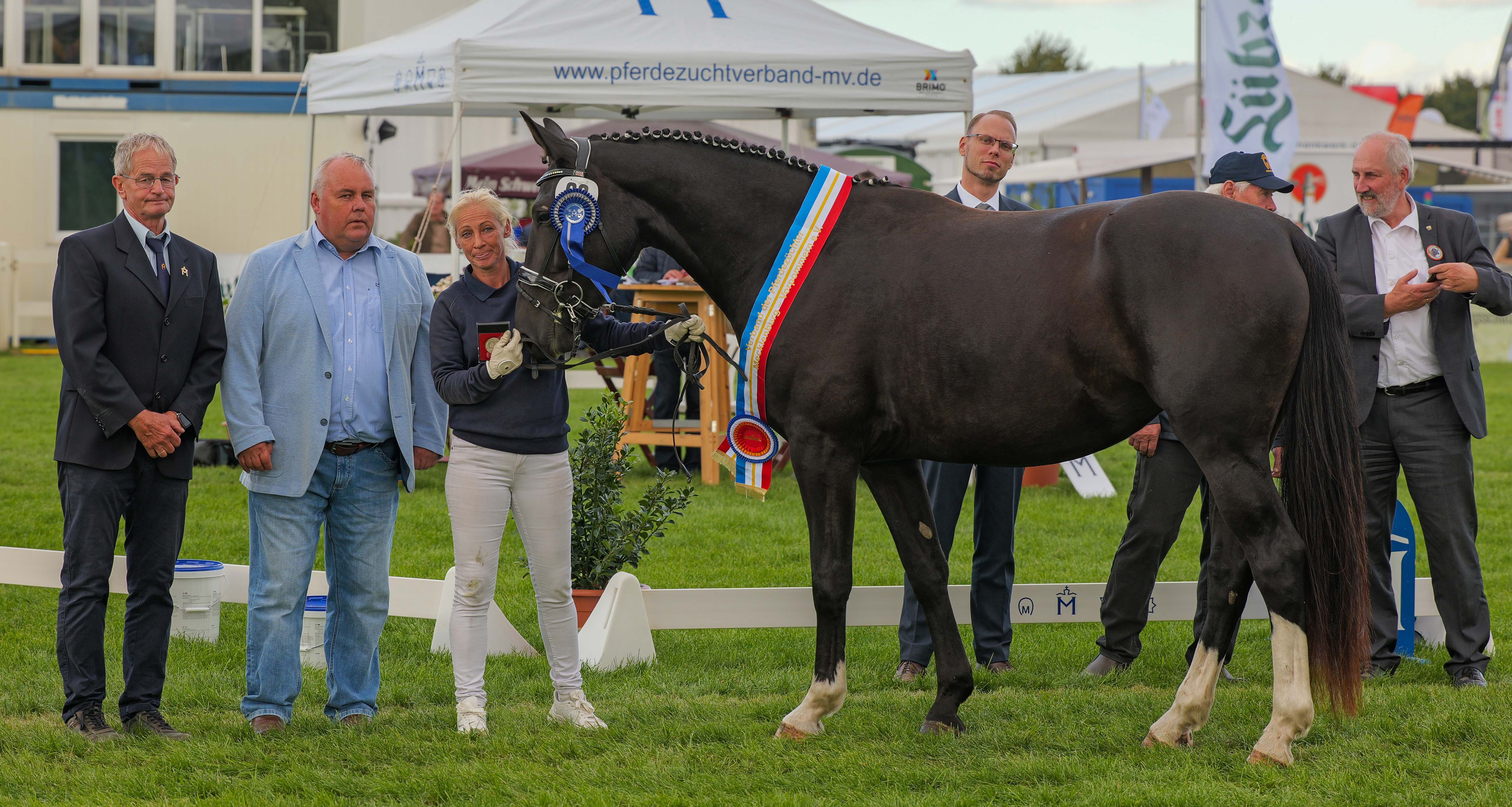 Ehrung der Siegerin des Sächsisch-Thüringisches Schweres Warmblut - Sansa v. Löwenprinz.