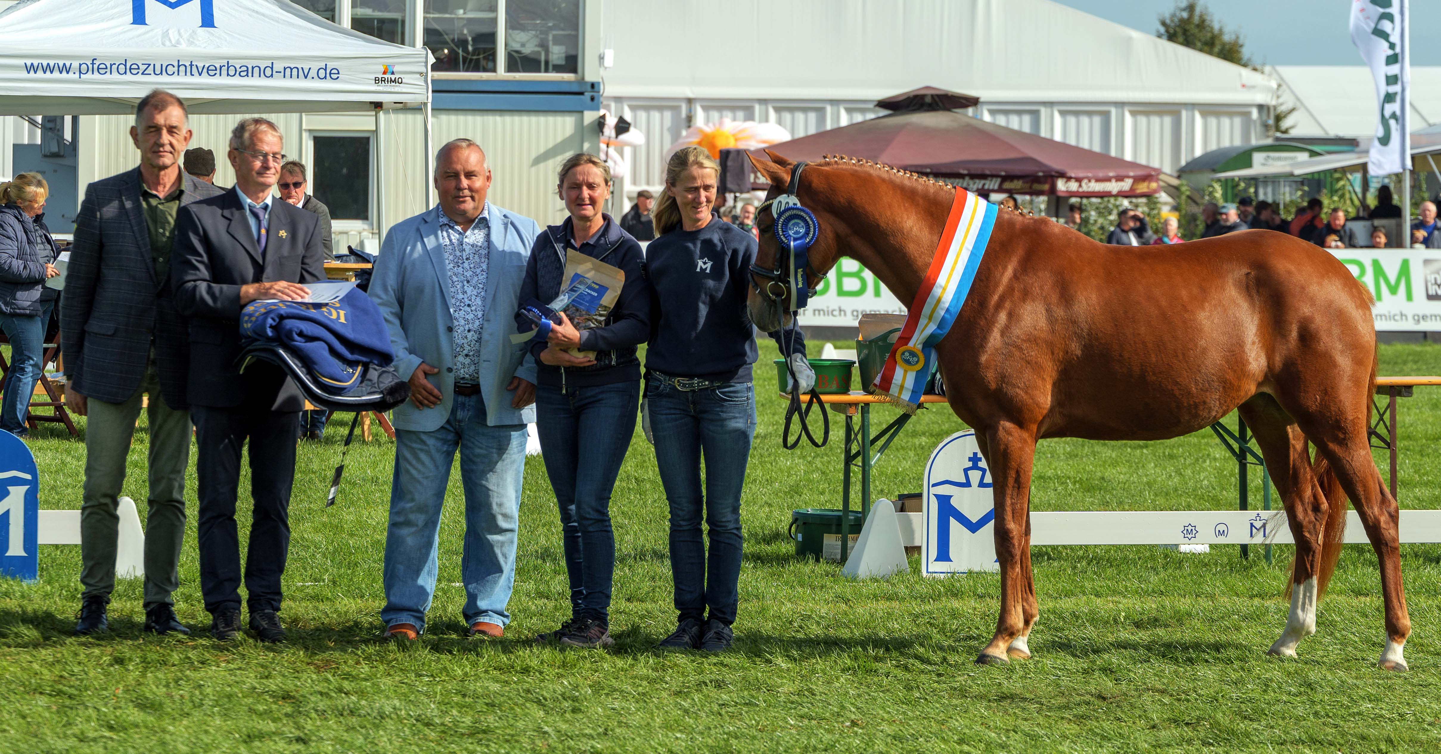 Ehrung der Siegerin der Deutschen Reitponys - Coco-Rouge v. Nancho's Golden Star.