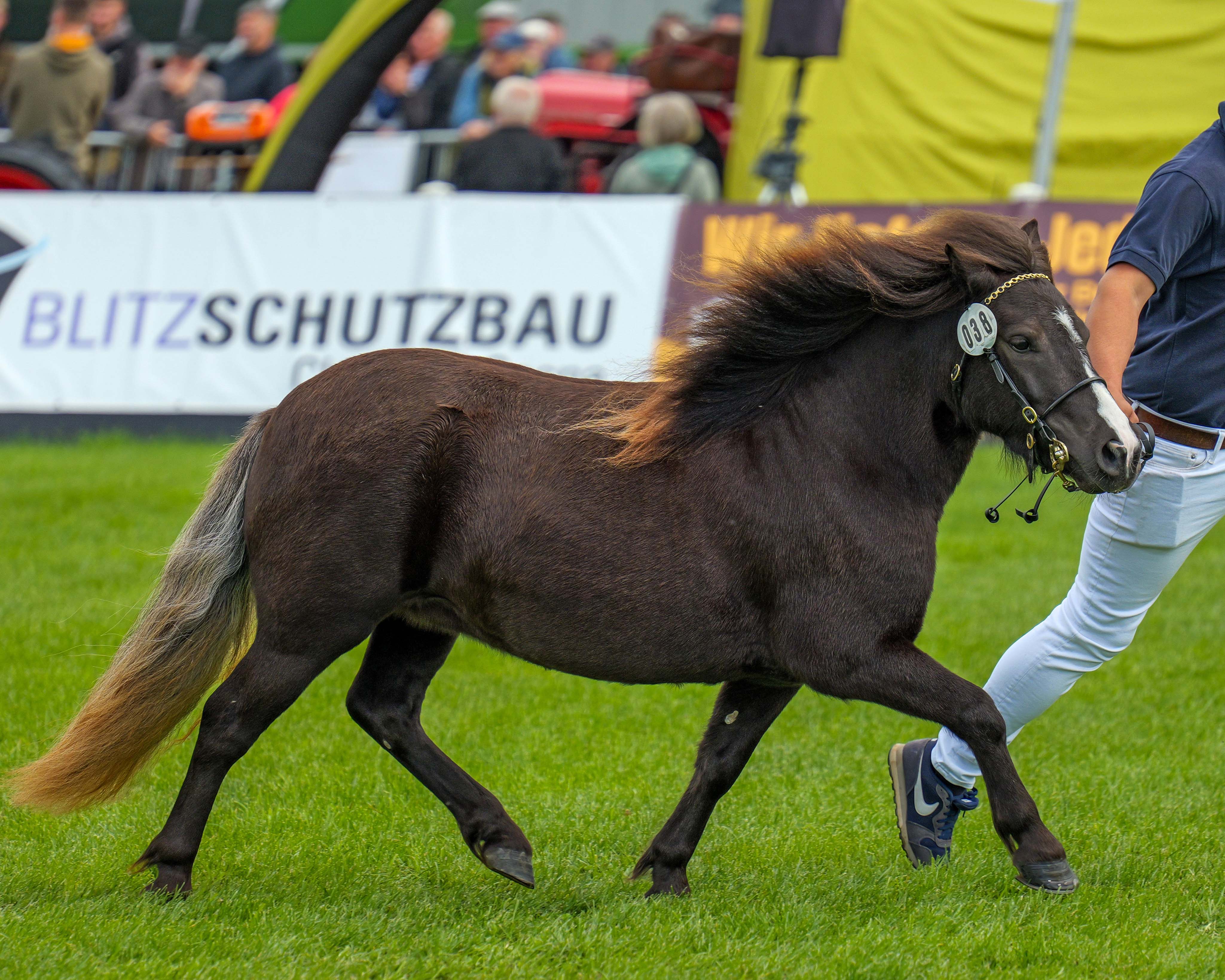 Kat.Nr. 38 Shet 3. Gedsagergärds Filippa v. Floris v.d. Bloernhof