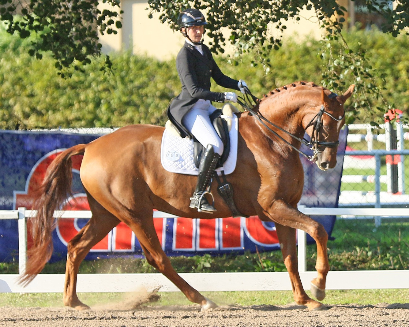 Güstrow: Yulia Feller gewann die S-Dressur