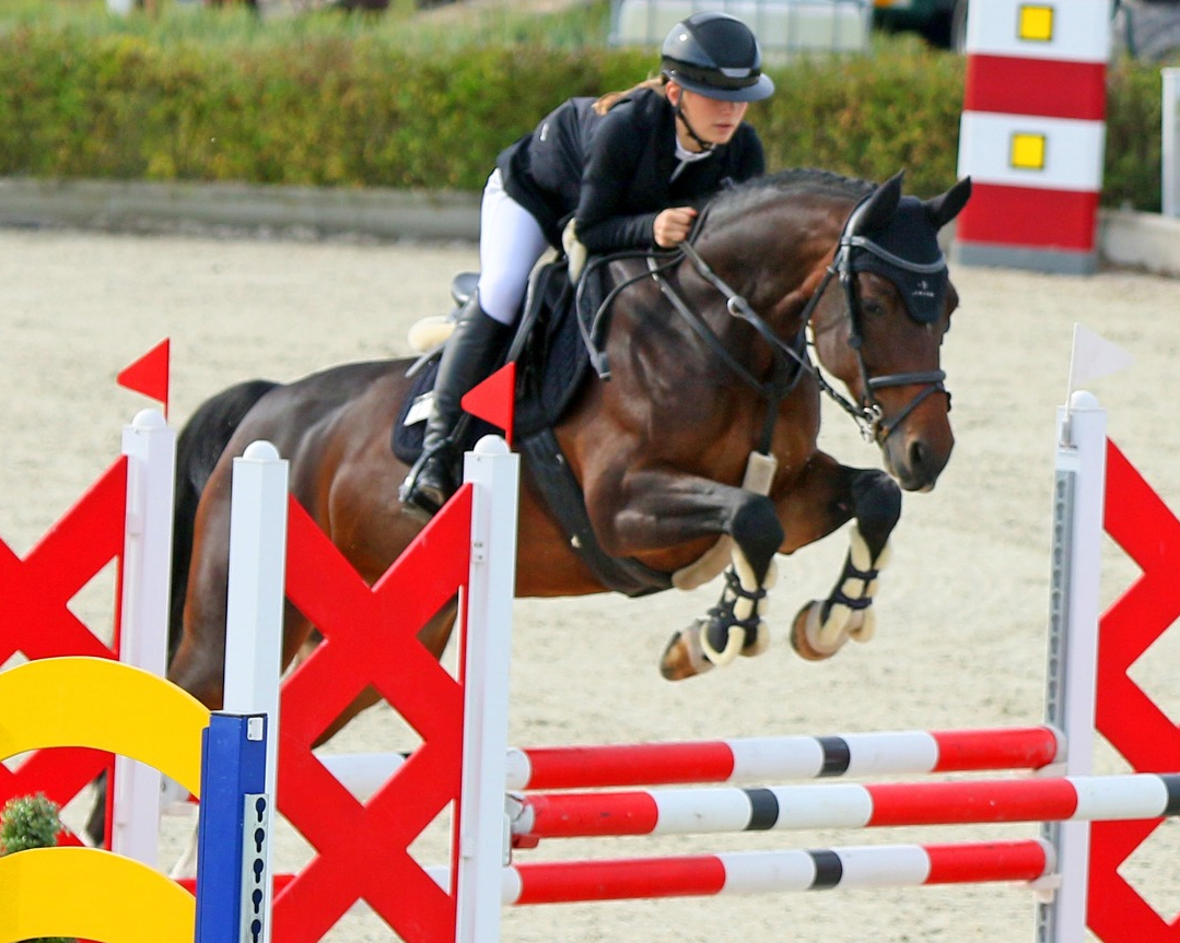 Nachwuchsreiterin Helena Mörke (RSV Dersekow), präsentierte mit dem Sieg im Stilspringen Klasse L auf Chaitleen (8,5) einmal mehr ihr stilistisch gutes Reiten. KaLo