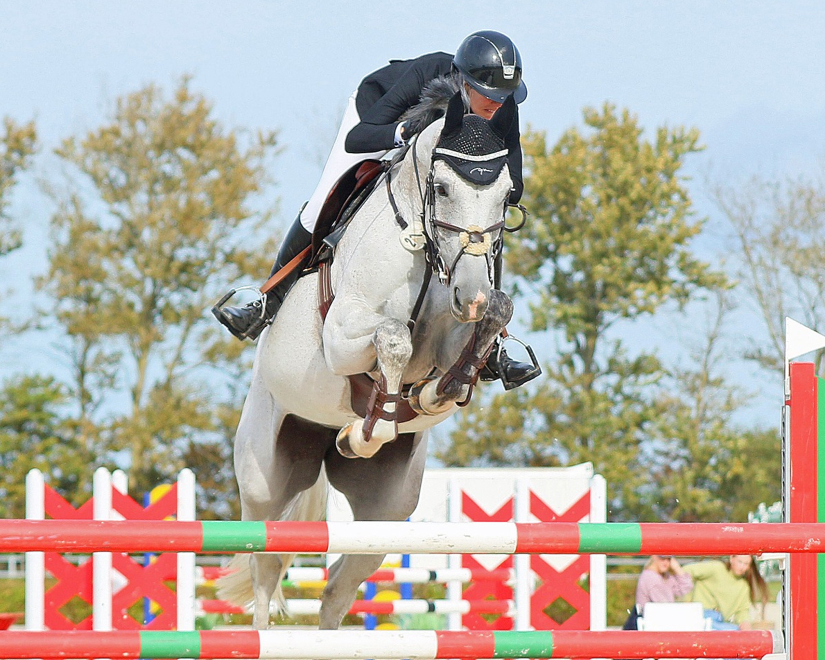 Denise Svensson stellte mit der 6-jährigen Esmeralda eine sehr talentierte Stute vor, auf der sie die Springpferde L und M mit 8,4 und 8,8 gewann. © KaLo