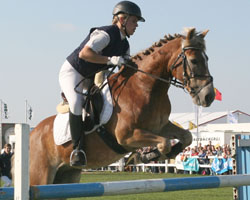 Zu den erfolgreichen Teilnehmerinnen beim letzten Europachampionat der Haflinger gehörte Dörte Wolfgram mit Zorro. Foto: Wego