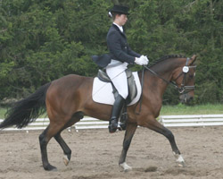 Julia Ising brachte einst Figaro in den Sport. Der Fiorelle-Sohn aus der Zucht von Reinhard Dragheim, Kandelin ist 2011 erfolgreichstes Dressurpony.