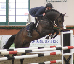 Christoph Lanske – hier auf dem Hengst Canon SV, war in Redefin viel beschäf-tigt und holte sich den Nachwuchstitel.