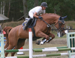 Zu den Siegerinnen gehörte auch die langjährige Teilnehmerin Sandra Engelmann (Weitenhagen) auf Pirgitta. Foto: Jutta Wego