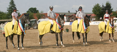 Die Landeschampion der Mecklenburger Springpferde und -ponys 2010: v.l. Cero’s Girl mit Sandra Engelmann, Clint mit Heiko Schmidt, Chantal mit André Thieme, Down Under mit Anna-Elisa Tofall. Foto: Jutta Wego