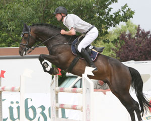 Eine Glanzvorstellung mit Grundnote 8,6 lieferte Steffen Schott in der „Bundescampionatsquali“ auf dem Hengst Cannon SV (v. Catoki). Foto: Jutta Wego