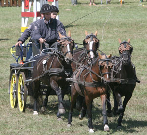 Die Kombinierte Prüfung der Pony-Vierspänner Klasse M gewann Rüdiger Schulz aus dem benachbarten Neuhof/Poel. Foto: Jutta Wego