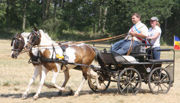 Tim Dallmann holte sich seinen Meistertitel bei den Ponys aus dem Jahre 2008 zurück. Foto: Lohrmann