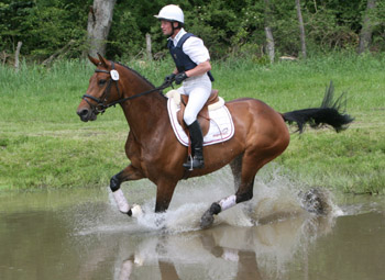 Wertnote 8,5 und Rang 6 gab es für Andreas Brandt (Neuendorf) mit der Vizebundeschampioness von 2009, Escada JS, der in Klasse L mit 8,5 Sechster wurde. Foto: Jutta Wego