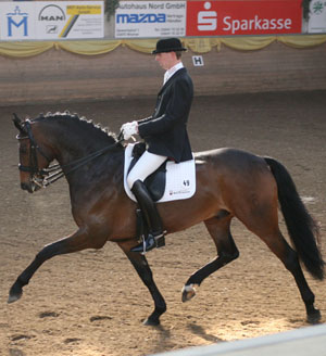 Inter II und Kurz Grand Prix-Sieg für den Warendorfer Ike-Daniel Hahn – hier auf Radames. Foto: Jutta Wego