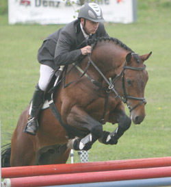 Siebenmal ritt der Schwede Örjan Larsson für den Stall Auge in Blüten ins Preisgeld und siegte auf Lenny. Foto: Jutta Wego