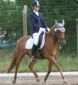 Pony Masetto hat Amber Marie Forler aus Rabelow die Dressur zum IG Pony-Cup in Demmin gewonnen. Foto: Jutta Wego