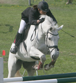 Tierarzt Dr. Jörg Neubauer gewann in Güstrow das M-Springen auf Matador und wurde auf Lansano Zweiter. Foto: Jutta Wego
