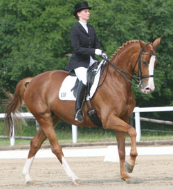 Jenny Olmann und Dream Street sind ein gutes Team geworden. In Güstrow gewann das Paar die L-Dressur L8. Foto: Jutta Wego