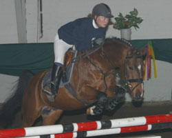 Den besten Zuchtwert der PKS-Hengste weist Reitpony Eldorrado auf: ZWS-MV ges. 120, ZWS-MV Exterieur 130. Foto: Wego